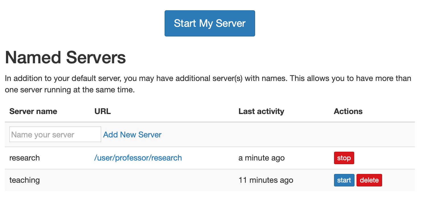 UI for managing named servers