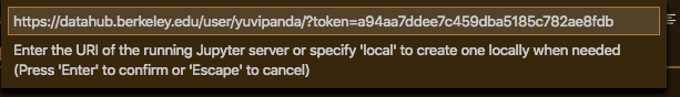 Enter your notebook server URL