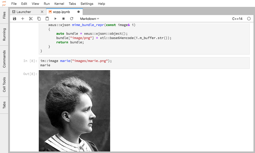 The xeus-cling Jupyter kernel for the C++ programming language.