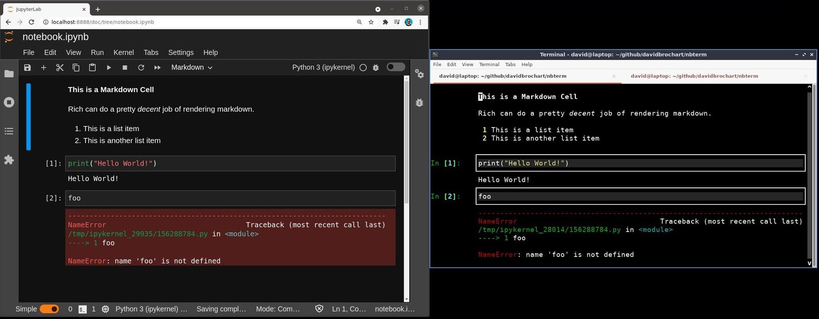 Side-by-side comparison of the JupyterLab web notebook and nbterm.