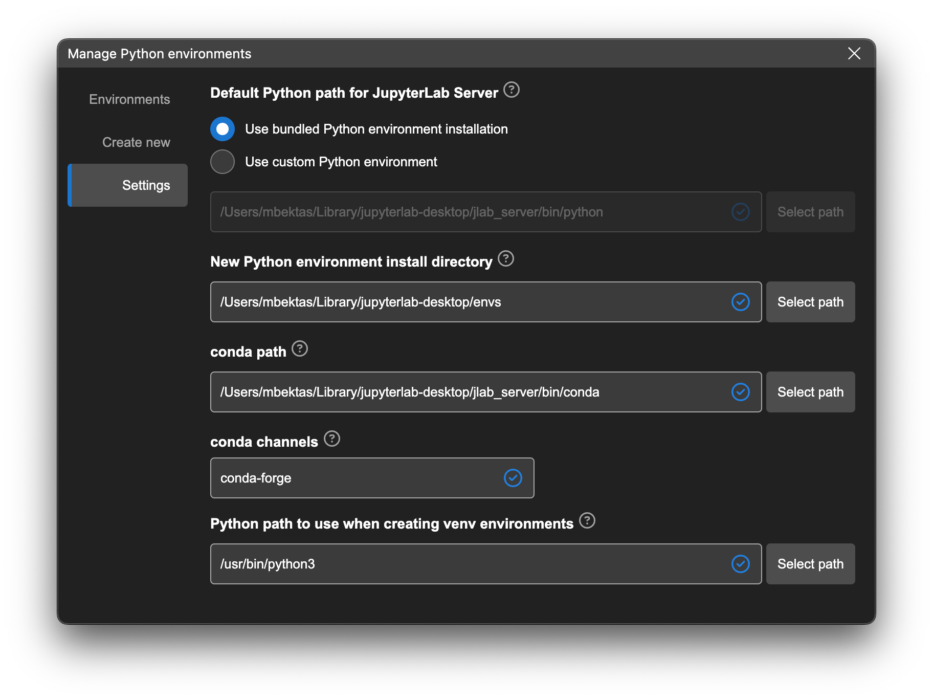 Python environment settings