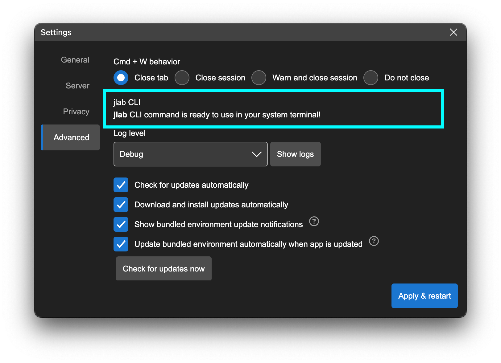 jlab CLI status on Settings dialog