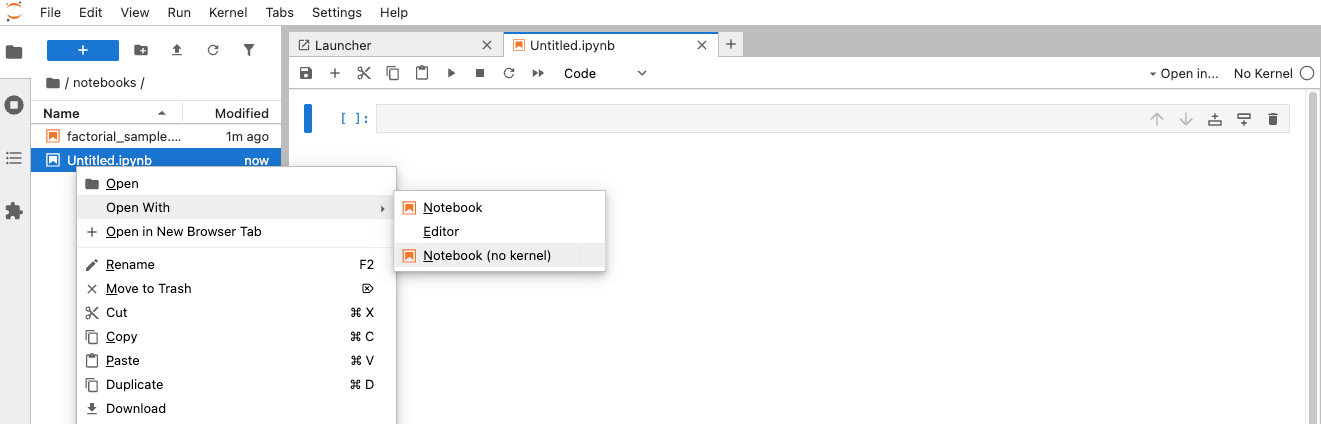 Open a notebook without a kernel
