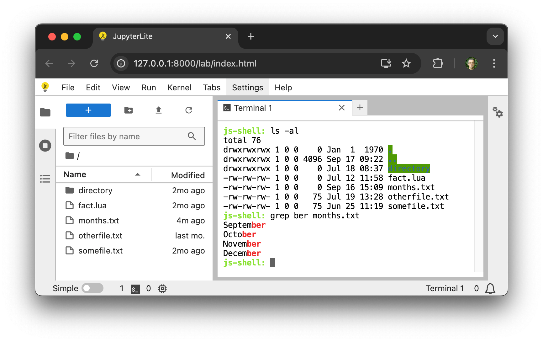 Running terminal commands in the browser
