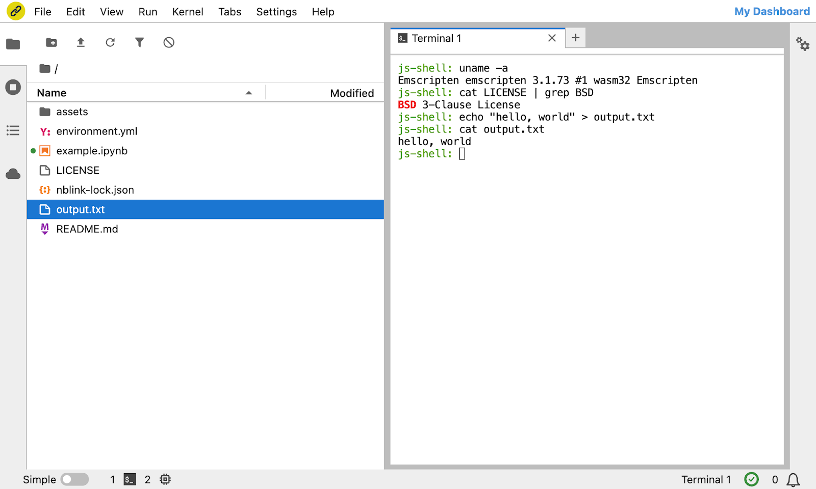 Screenshot of the JupyterLite terminal emulator, showing some basic Unix commands